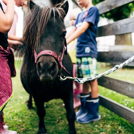 Willa Gut Neusess Mauterndorf  Zewnętrze zdjęcie