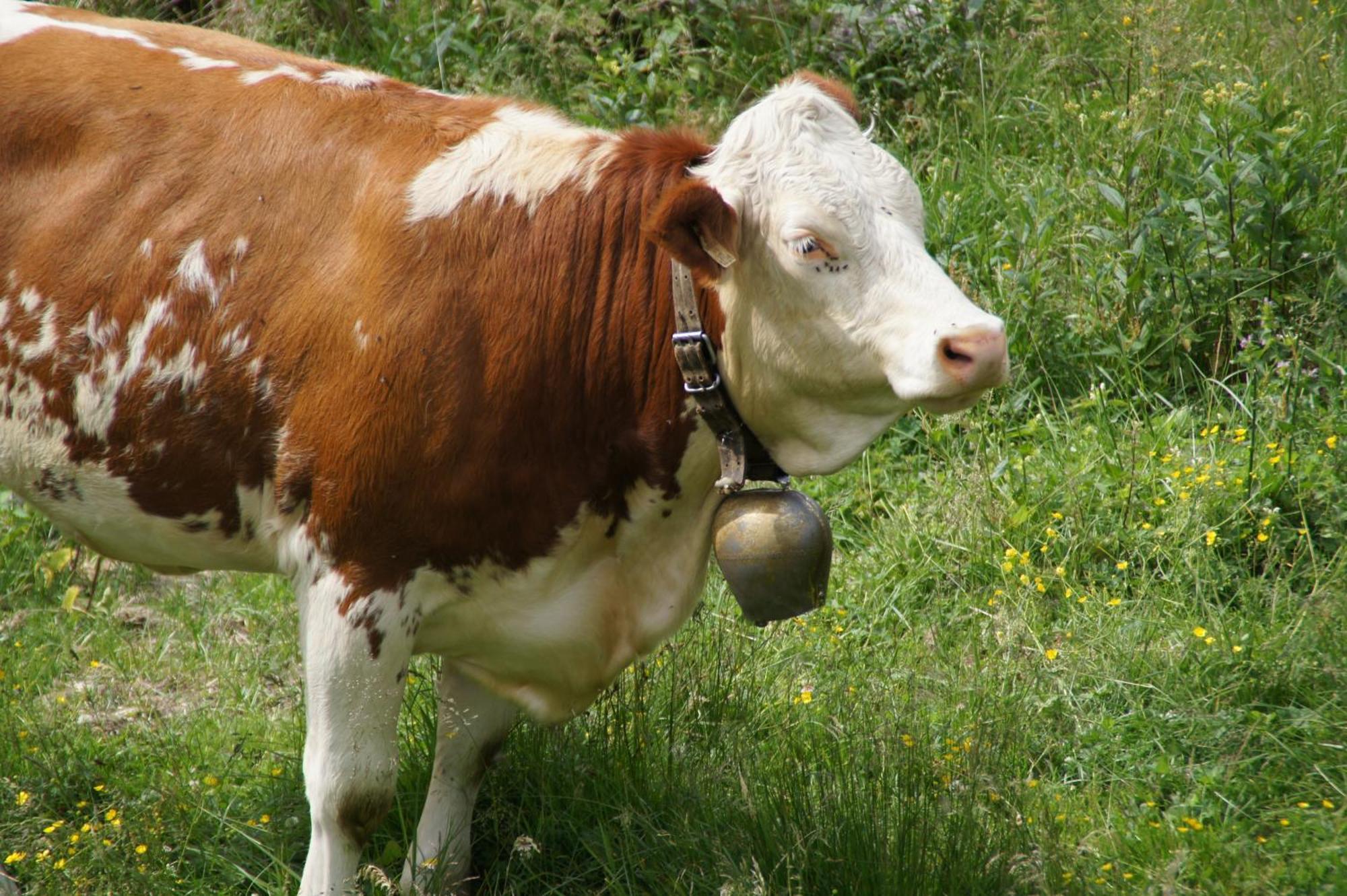 Willa Gut Neusess Mauterndorf  Zewnętrze zdjęcie