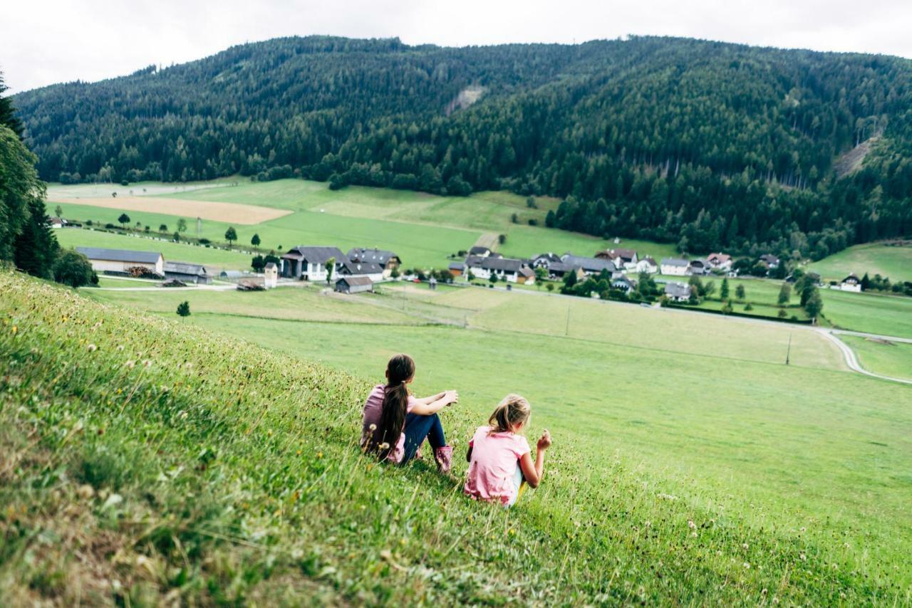 Willa Gut Neusess Mauterndorf  Zewnętrze zdjęcie