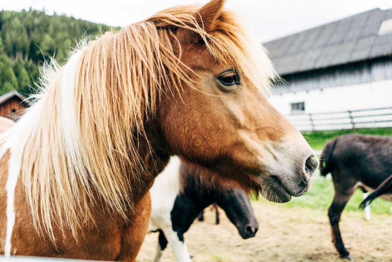 Willa Gut Neusess Mauterndorf  Zewnętrze zdjęcie